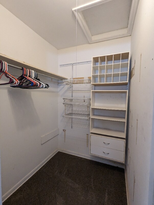 Building Photo - 2224 White Tail Ct