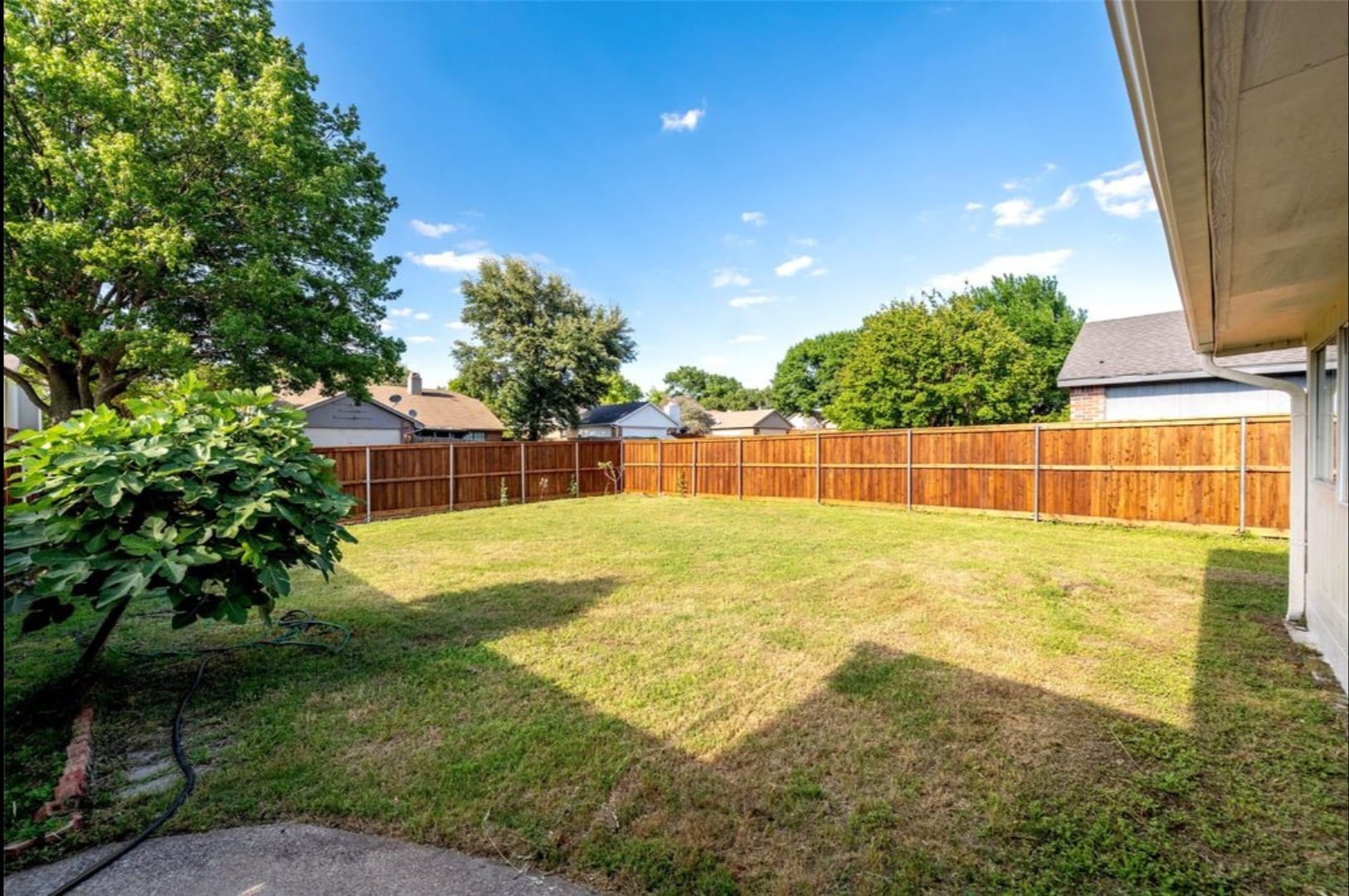 Backyard - 543 Guadalupe Dr