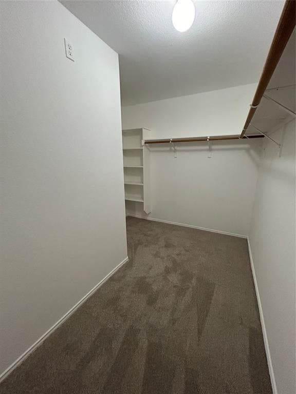 Building Photo - 207 Peaceful Haven Way