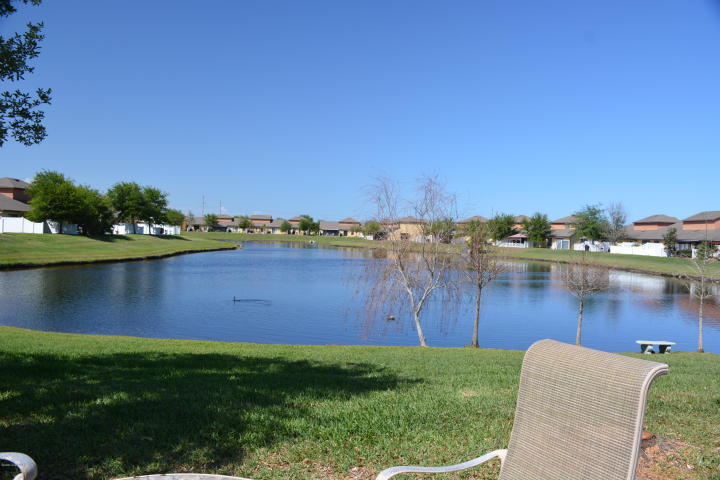 VIew from Patio - 1055 Luminary Cir