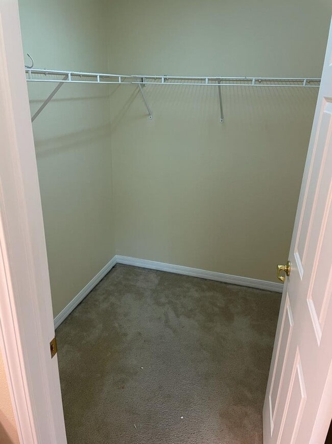 Building Photo - 3640 Pine Knot Dr