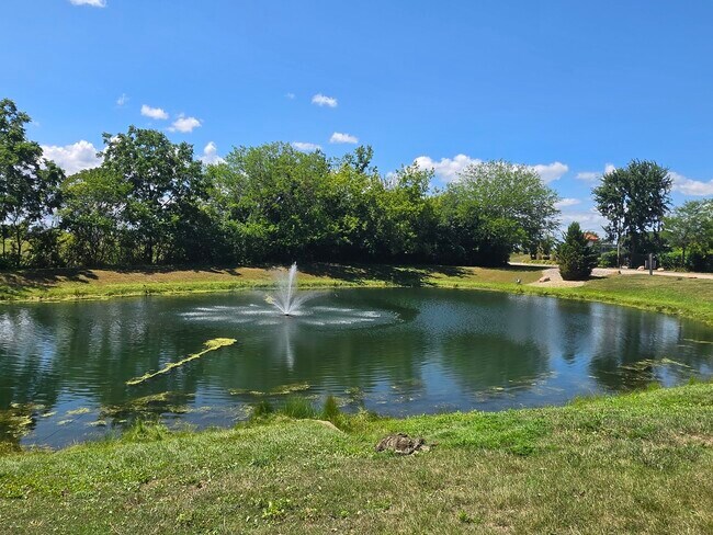 Building Photo - 350 Plum Creek Dr