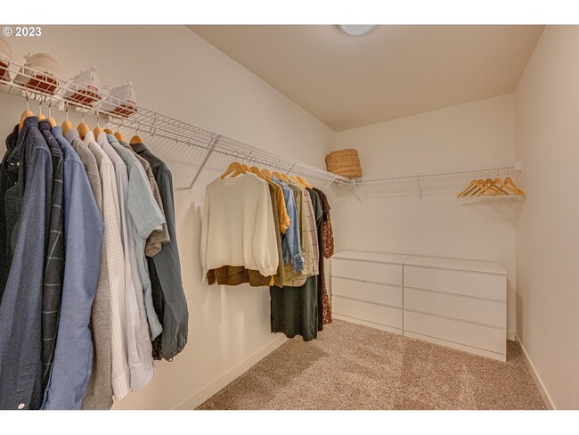 Walk-in Closet - 6900 N Montgomery Cir