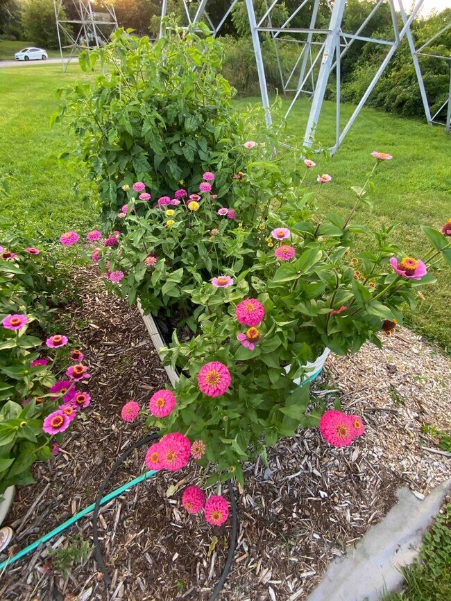 Building Photo - Remodeled 3 Bedroom 1.5 Bath Townhome with Full Basement