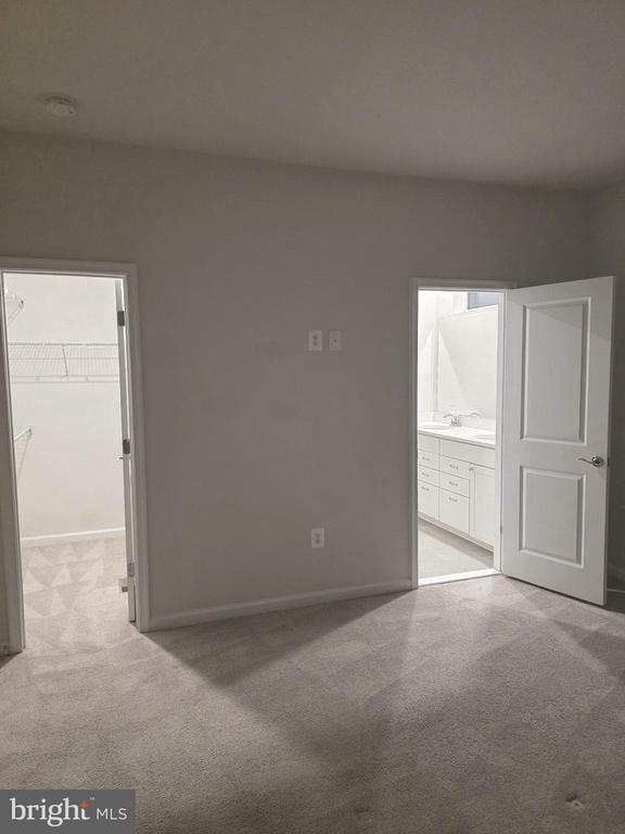 Building Photo - 311 Ibis Ct