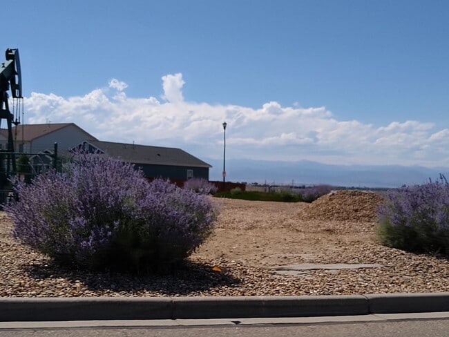 Building Photo - Gorgeous 2 Story 3 Bedroom 2.5 Baths in Da...
