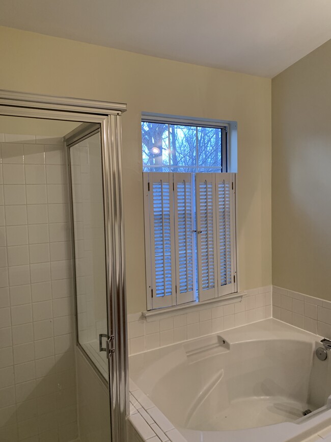 Master bathroom - 836 Faraway Ct