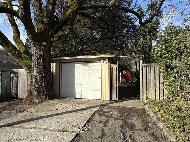 Building Photo - Charming 2 Bedroom San Anselmo Home