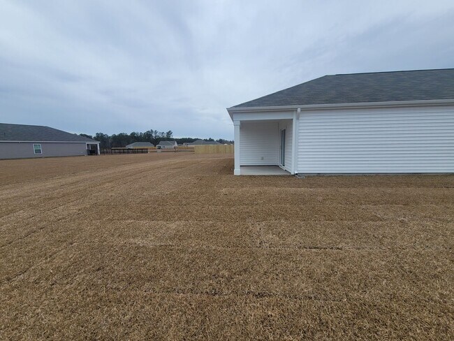Building Photo - Welcome to our brand new 4-bedroom, 2-bathroom home located in the charming community of Castle H...