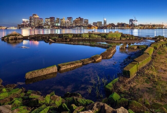 Building Photo - 45 Lewis St