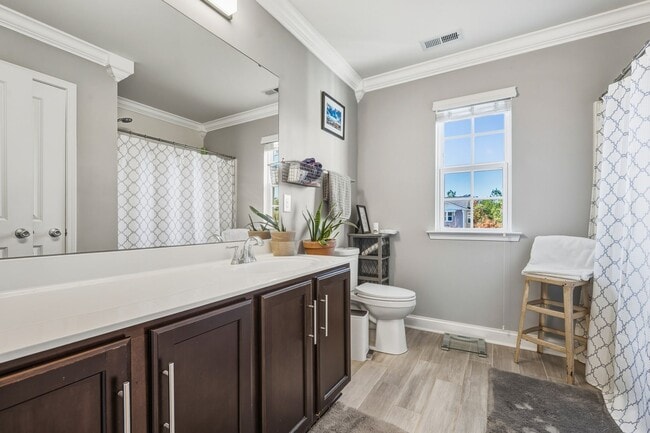 Building Photo - Stylish, Energy-Efficient 3 Bed/2.5 Bath H...