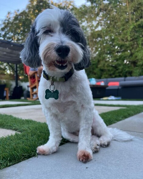 Building Photo - 150 S Madrona Ave