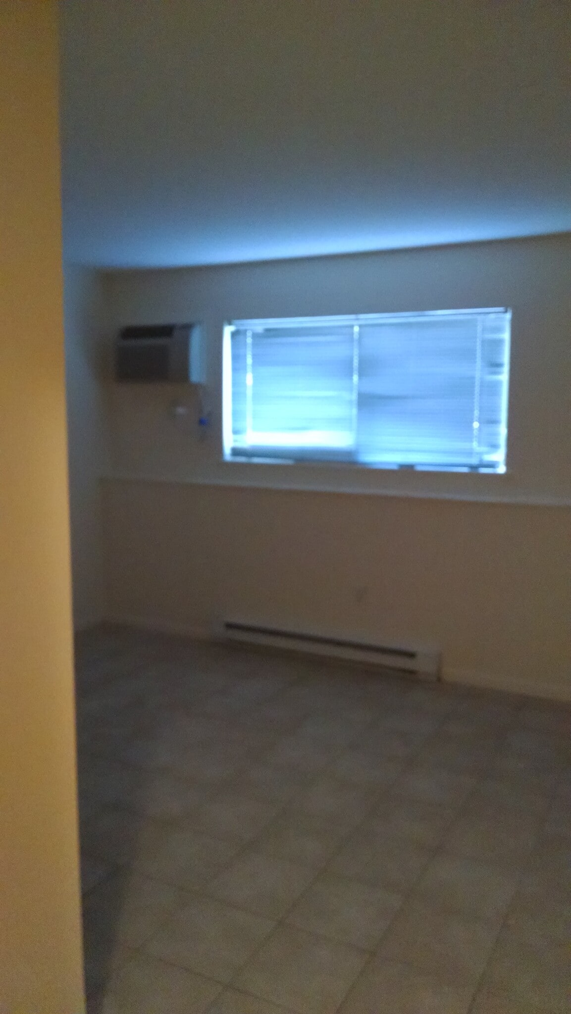 Large Bedroom - 55 Wildman St