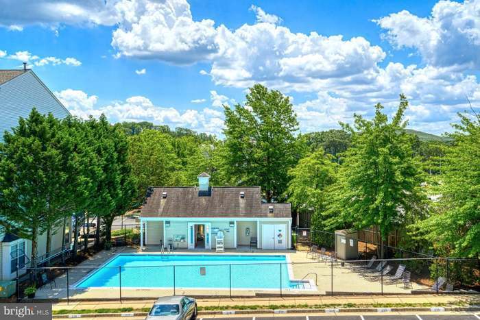Pool - 8185 Halley Ct