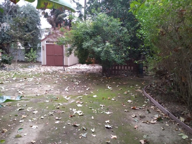 Backyard with shed - 6601 Louise Ave