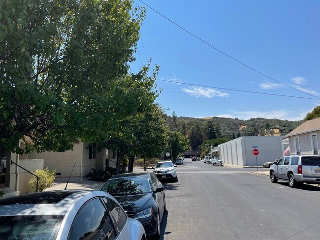 Building Photo - 1019 Castro St