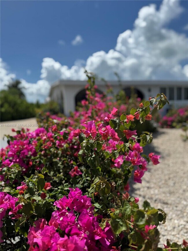 Building Photo - 1301 Grouper Dr