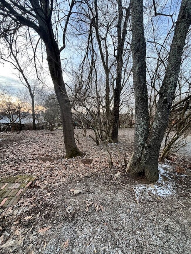 Building Photo - Charming 3-bedroom, 1-bath in Wilmore, KY