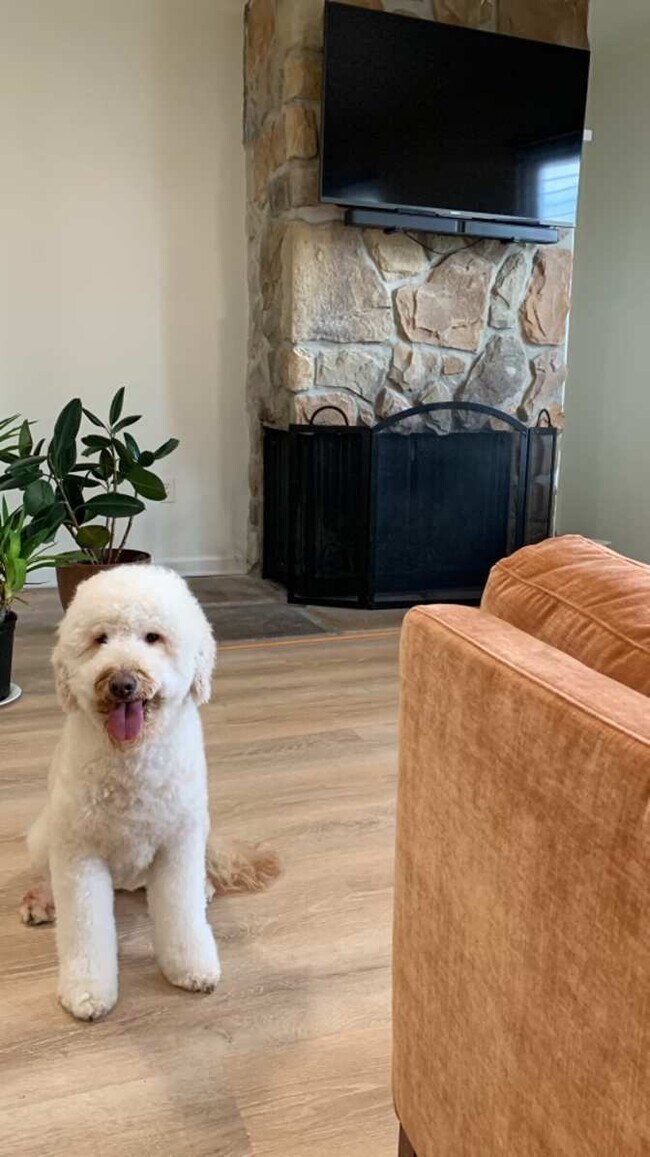 Building Photo - 8427 Snowden Oaks Pl