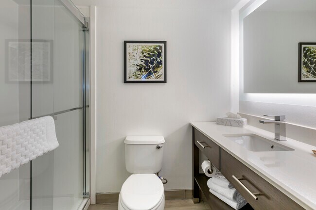 Recently Renovated Bathroom - 835 Upper Union St