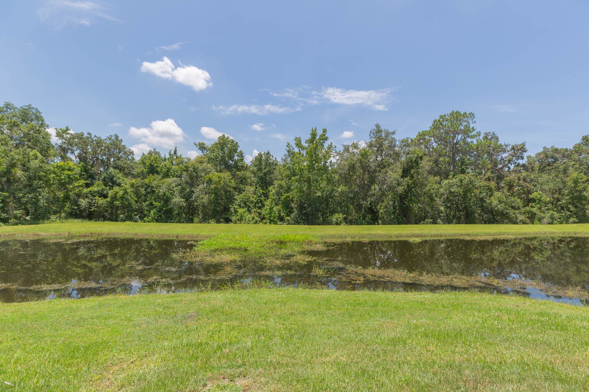 Building Photo - 15939 Fishhawk View Dr