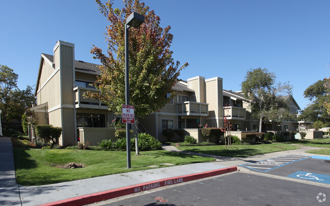 Primary Photo - Meadows Apartments