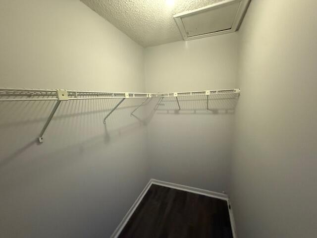 Building Photo - 2828 Casita Way