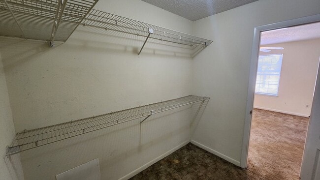 Building Photo - 2318 Beech St