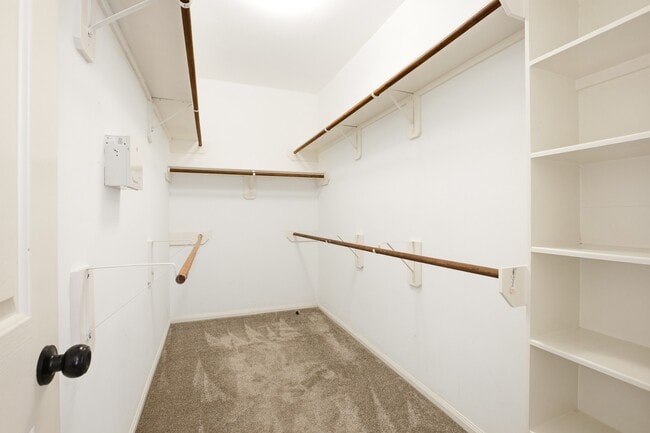 Building Photo - 3906 Tigris Ridge Dr