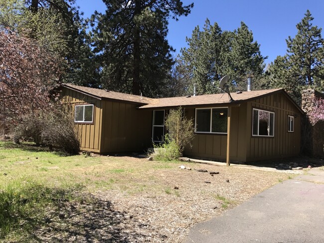 Primary Photo - Wonderful House on Large Lot