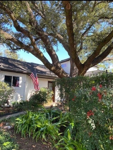 Building Photo - 12800 Briar Forest Dr