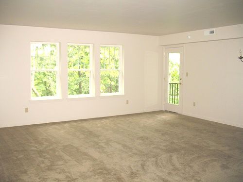 Building Photo - The Overlook Apartments