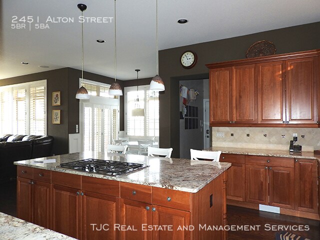 Building Photo - Stapleton Home for Rent! Custom Basement!