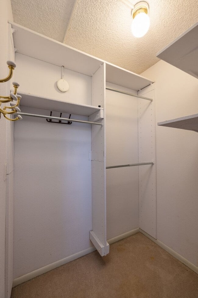 Building Photo - Spacious 5-Bedroom Home with Bonus Room & ...