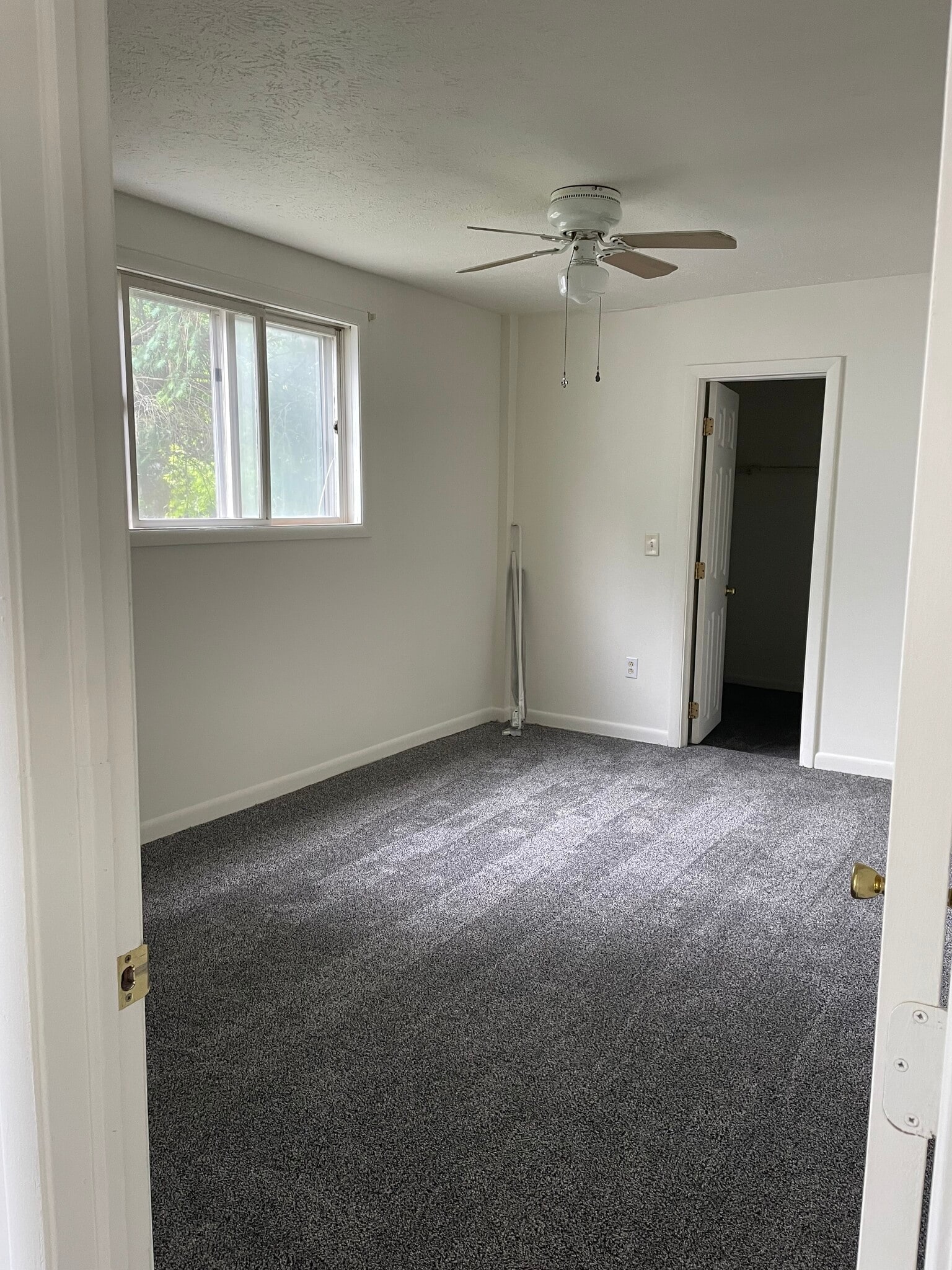 Building Photo - 43 Chapin St