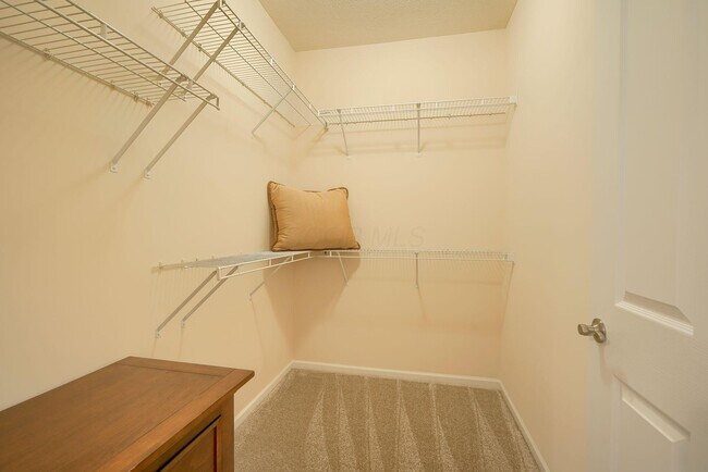 Building Photo - 6183 Donegan Way