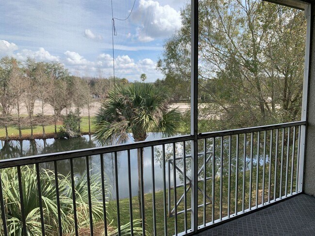 Building Photo - One Bedroom For Rent in New Tampa!