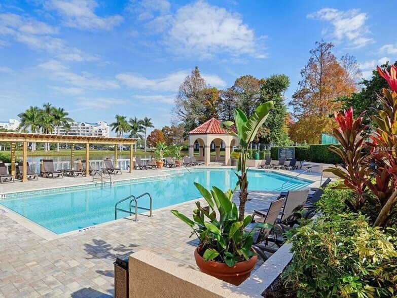 Beautiful community pool - 2400 Feather Sound Dr Apt 421