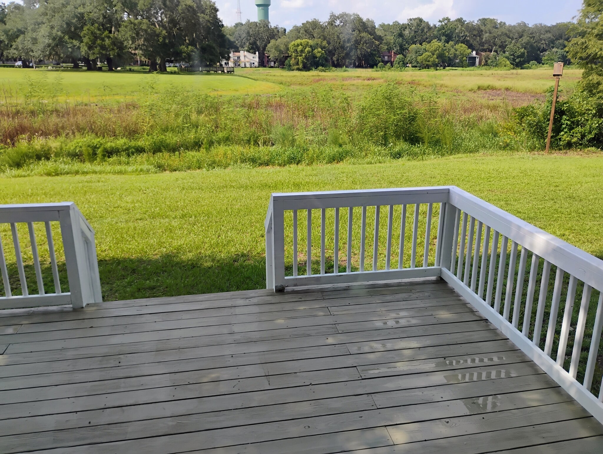 Beautiful backyard - 3058 Bayshore Dr