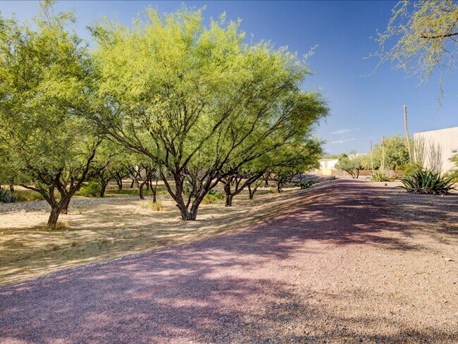 Building Photo - 10570 E Eleanor Maldonado Pl