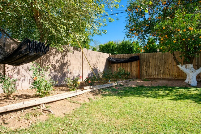 Building Photo - 4049 N 57th Pl