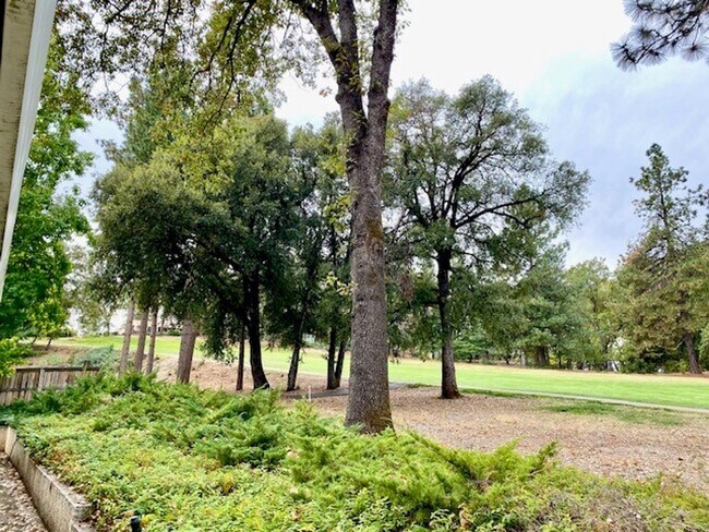 Building Photo - Spacious 2 Bedroom Home with Office, Quiet and Peaceful Alta Sierra Location