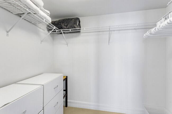 Building Photo - 3000 N Ocean Dr