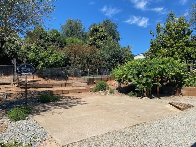 Building Photo - Shasta Lake Home w/ large yard!