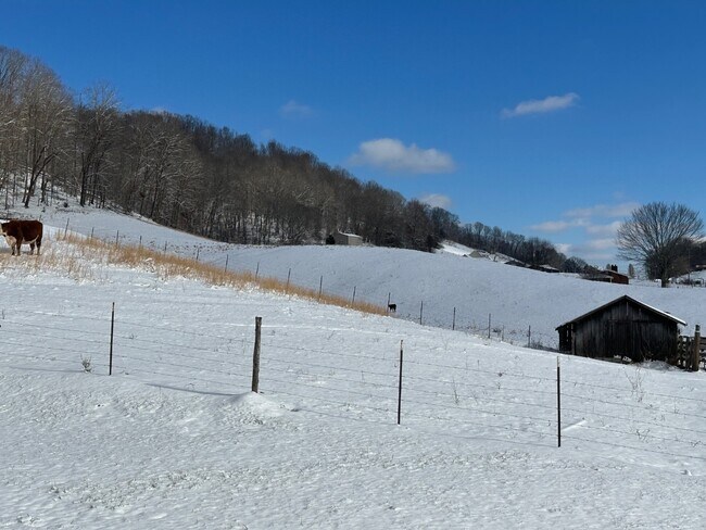 Building Photo - 6123 Boozy Creek Rd
