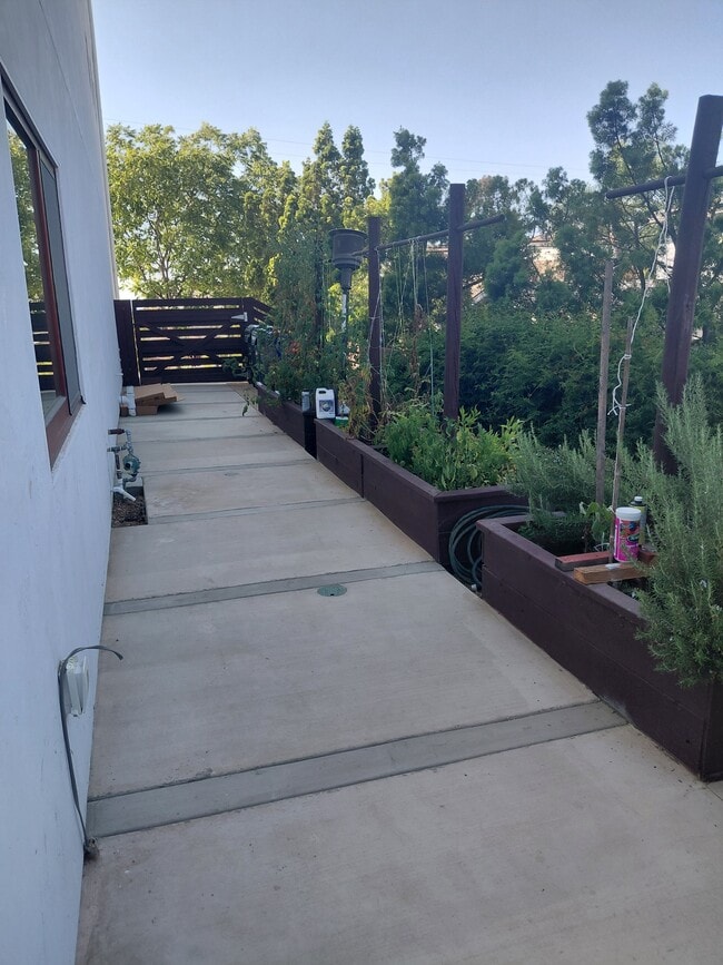 Building Photo - 401 Washingtonia Dr