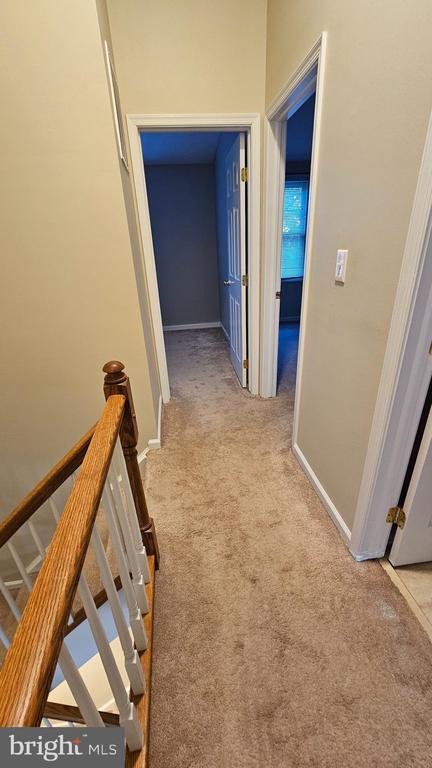 Building Photo - 1196 Swanhill Ct