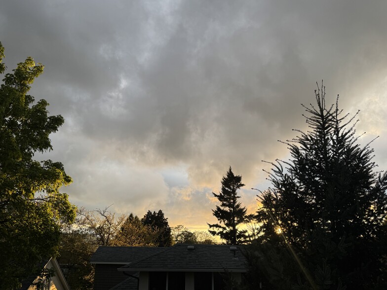 View from private 2nd store patio. - 2322 SE Main St