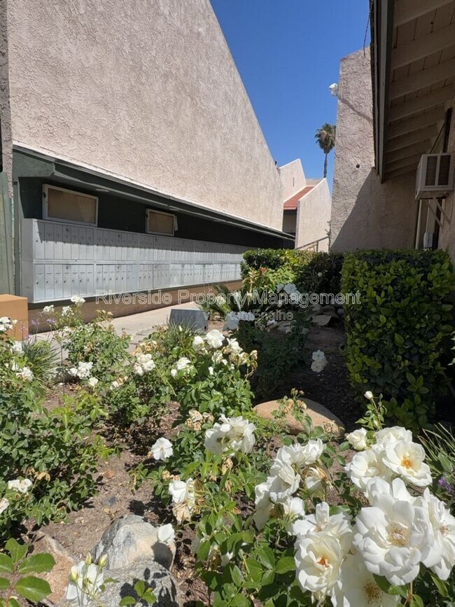 Building Photo - 2255 Cahuilla St