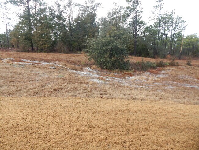 Building Photo - Beautiful home in Del Webb by Riverlights (55 and over community)